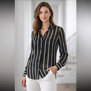 NWT White House Black Market Shadowstripe Sheer Button-Down — Size 4